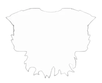 Raven's Chestplate armor item from The Forge Wiki