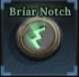 Briar Notch rune icon - the forge wiki